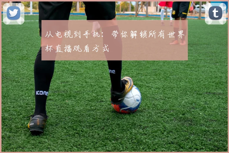 从电视到手机：带你解锁所有世界杯直播观看方式
