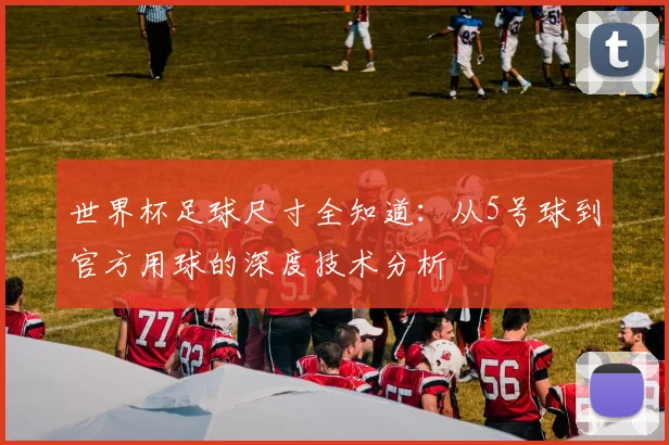 世界杯足球尺寸全知道：从5号球到官方用球的深度技术分析