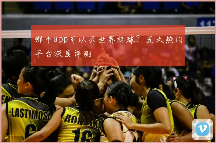 哪个app可以买世界杯球？五大热门平台深度评测
