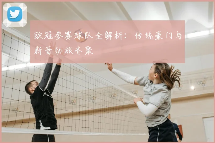 欧冠参赛球队全解析：传统豪门与新晋劲旅齐聚