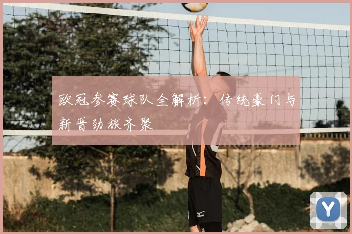 欧冠参赛球队全解析：传统豪门与新晋劲旅齐聚