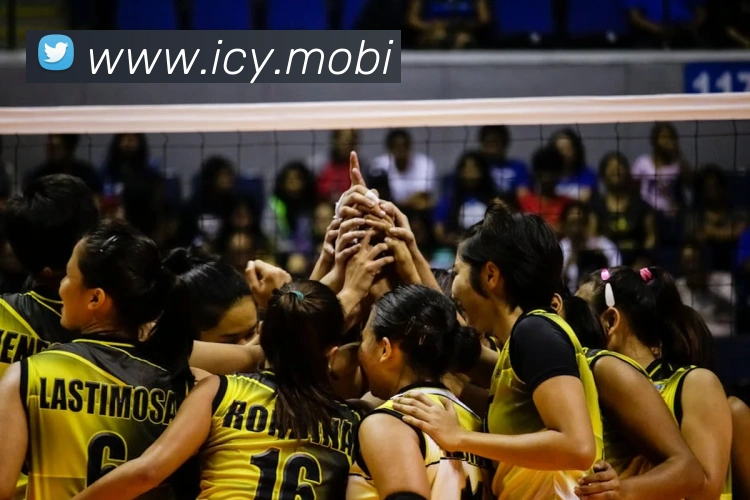 开云手机官方登录发展历程